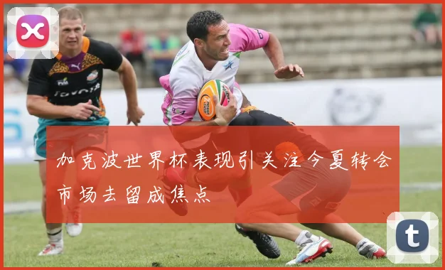 加克波世界杯表现引关注今夏转会市场去留成焦点