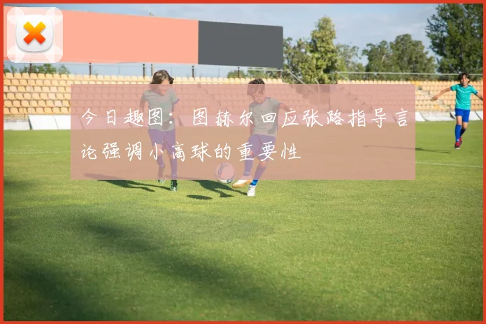 今日趣图：图赫尔回应张路指导言论强调小高球的重要性