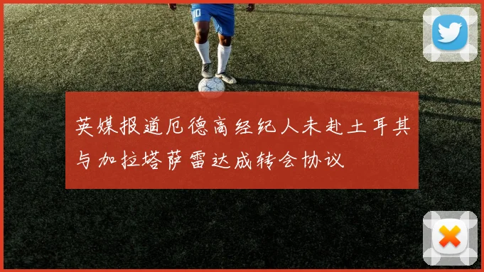 英媒报道厄德高经纪人未赴土耳其与加拉塔萨雷达成转会协议