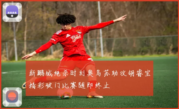 新鹏城绝杀时刻奥乌苏助攻胡睿宝精彩破门比赛随即终止